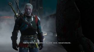 The Witcher 3  Veni Vidi Vigo Sneak Onto Emhyr var Emreiss Ship amp Free Frigilla Vigo Dialogue [upl. by Nrojb590]