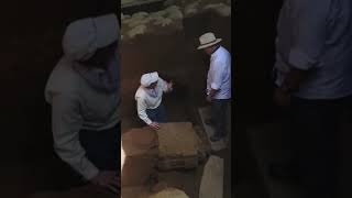 trailer El secreto arcano de las cuevas de Ajanta y Ellora shorts history [upl. by Atalayah]