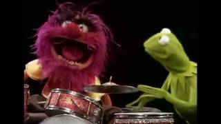 Os Muppets  Caco entrevistando Animal [upl. by Thgirw404]