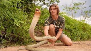 I Found The Biggest King Cobra in Borneo Venom Milking [upl. by Caneghem]