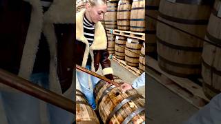 whiskey thieving 101 whiskeybarrel bourbon bourbonbarrel whiskeythief barrelproof thief [upl. by Nathaniel95]