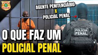 O QUE FAZ UM POLICIAL PENAL QUAL A DIFERENÇA AGENTE PENITENCIÁRIO PARA POLICIAL PENAL [upl. by Nicky788]