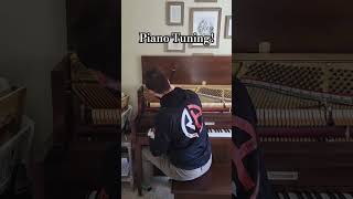 Reminder to get your piano tuned piano tuning shorts [upl. by Eiramanel]