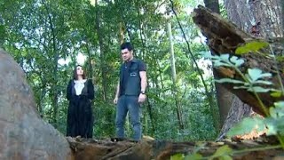 Nonton Sinetron GantengGanteng Serigala Episode 447 Vidio [upl. by Porush]