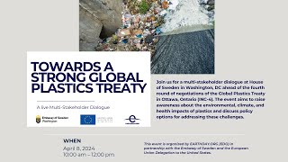 Towards A Strong Global Plastic Treaty [upl. by Adnirol]