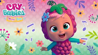 Hammy The Clown  Cry Babies Nursery Rhymes amp Kids Songs  Songs for Babies in English [upl. by Mccall]