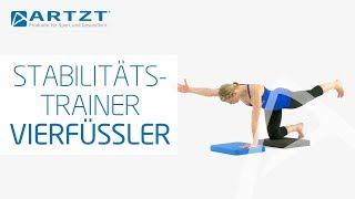 Artzt vitality Stabilitätstrainer  Vierfüßler [upl. by Debbi]