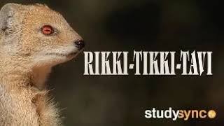 Rikki Tikki Tav Audio [upl. by Ruffin419]