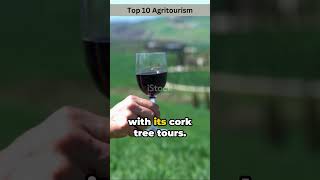 Discover the Top 10 Agritourism Destinations You Cant Miss tourism travel agritourism explore [upl. by Nani]