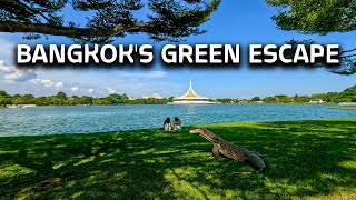 Bangkok’s Best Park Walk From Calm Waters to Lush Trails livestream bangkok park travelthailand [upl. by Ardnuahc897]