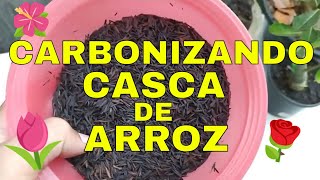 Carbonizando casca de arroz [upl. by Bonis]