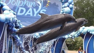 Dolphin Days Full Show  SeaWorld Orlando  May 19 2017 [upl. by Redla]