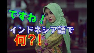 【インドネシア語会話】正しい相づちの打ち方！「そうですね」「うそでしょ」「まさか」など日常会話表現まとめ！ [upl. by Behka]