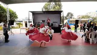 Baile negroide Black dance del Peru [upl. by Mano]