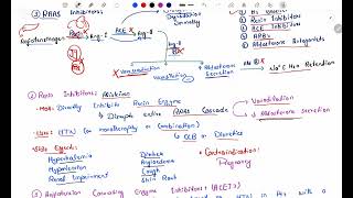 Antihypertensive Pharmacology  RAAS Inhibitors  ACE inhibitors  Angiotensin Receptor Blockers P3 [upl. by Ahsiek]