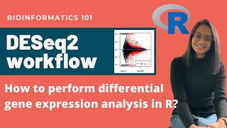 DESeq2 workflow tutorial  Differential Gene Expression Analysis  Bioinformatics 101 [upl. by Wilburn905]