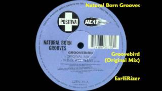 Natural Born Grooves  Groovebird Original Mix [upl. by Kucik]