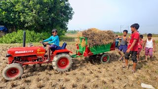 Went To Bring Paddy To The Field With Mini Tractor  Farmer Funny Video  Mini Tractor [upl. by Aiuoqes181]