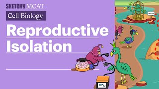 Reproductive Isolation Prezygotic amp Postzygotic Types Full Lesson  Sketchy MCAT [upl. by Enniotna46]