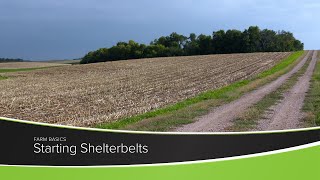 Starting Shelterbelts [upl. by Neerod]