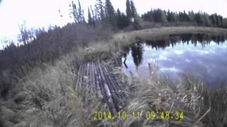 hunting Kapuskasing N Ontario outlander 800 atv 4 [upl. by Leroy]