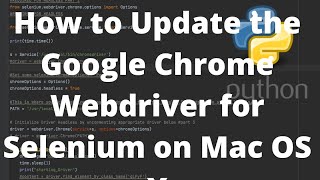 How to Update the Google Chrome Webdriver for Selenium on Mac OS X [upl. by Magdala433]