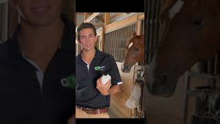 Eliminating Flies at a Horse Barn pestcontrol equestrian horsefly [upl. by Aitas]