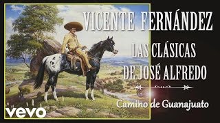 Vicente Fernández  Camino de Guanajuato  Cover Audio [upl. by Elynad]