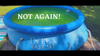 How to Fix GREEN Water in a SMALL Pool [upl. by Eatton]