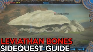 Leviathan Bones Sidequest Guide The Legend Of Zelda Breath Of The Wild [upl. by Buckels]