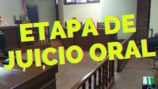 ETAPA DE JUICIO ORAL EN EL PROCESO PENAL [upl. by Idnim]