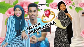 MEHER AROOS BOQORADA STYLKA IYO HAYKAL PRANK MIYAA XAQIIQDA JIRTA [upl. by Pip]