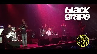 Black Grape  Reverend Black Grape Live  Shiiine On Weekender 2016 [upl. by Anyl]