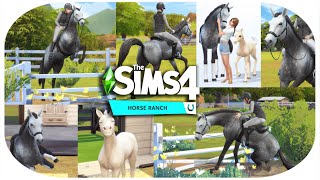 Sims 4 Pferderanch testen 😍🐴 [upl. by Emya157]