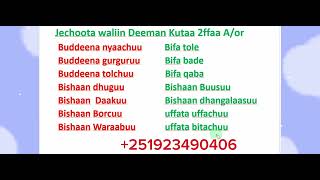 Afaan Oromoo Jechoota waliin Deeman Kutaa 2ffaa study Afaan OromooAmharic English letters [upl. by Ahtabbat]