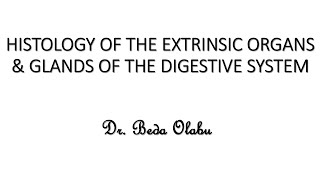 MICROSCOPIC  HISTOLOGICAL ORGANIZATION OF THE EXTRINSIC ORGANS amp GLANDS OF THE DIGESTIVE SYSTEM [upl. by Mota]