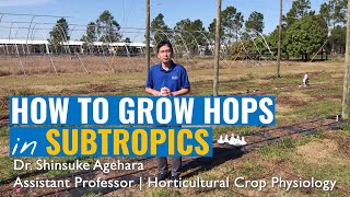 How to Grow Hops in Subtropics  2021 GCREC Virtual Field Day [upl. by Bergess138]