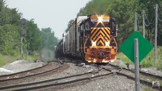 CSX and Wheeling amp Lake Erie Trains from Greenwich Ohio July 20 2024 Part 3 [upl. by Mathi]