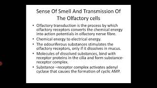 Olfactory System Part2  Calicut university Bsc Psychology [upl. by Eitra]