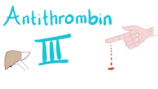 Antithrombin III  How Heparin Works [upl. by Charline]