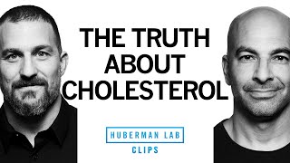 The Truth About Dietary Cholesterol  Dr Peter Attia amp Dr Andrew Huberman [upl. by Brunell318]