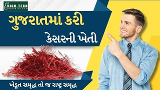 કાશ્મીરી કેસરની ખેતી ગુજરાતમાં કરી [upl. by Ahsaetan]