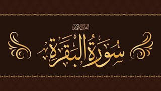 SurahAlBaqarah full surah fastrecitation  by Mishary Bin Rashid 🤲 [upl. by Bidle]