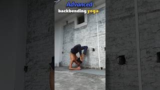 advanced backbend yogasigismondi yoga yogapractice viral shorts [upl. by Daisi]