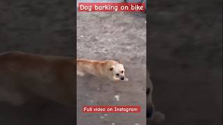 Dog barking on bike Watch this [upl. by Nylknarf769]