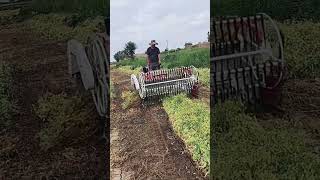 Homemade tractor Peanut harvesting skills excavator tractor jcb agriculture machinery tools [upl. by Nason]