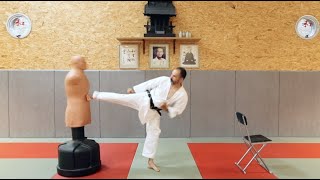 Wado Ryu Sokuto geri coup de pied latéral [upl. by Calandra648]