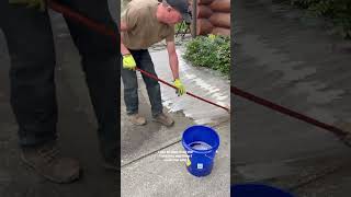 How to clean a concrete driveway Love Dad [upl. by Eiddet]