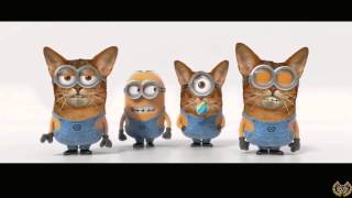 Minions Banana Song  Cat Minion Version [upl. by Lybis]