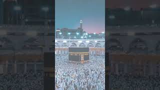 HAM ANE NABI BATE NABI SARKAR KO BI LAL KARENGE SHORT BIDEO VIRAL 🕋🕋♥️♥️ [upl. by Elinore]